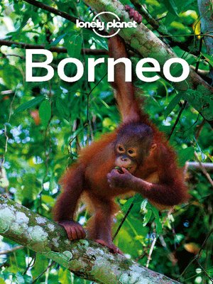 Borneo Travel Guide - ebook